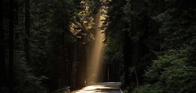 Image by JOHN TOWNER