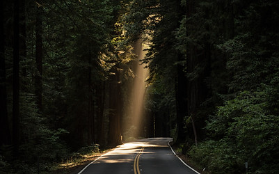 Image by JOHN TOWNER