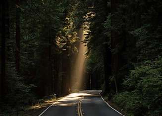 Image by JOHN TOWNER