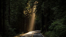 Image by JOHN TOWNER