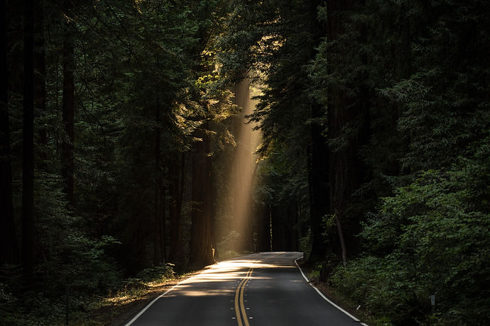 Image by JOHN TOWNER