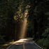 Navigating Shadows 