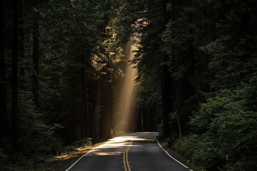 Image by JOHN TOWNER