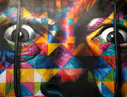 Image by Gabriela Gomez