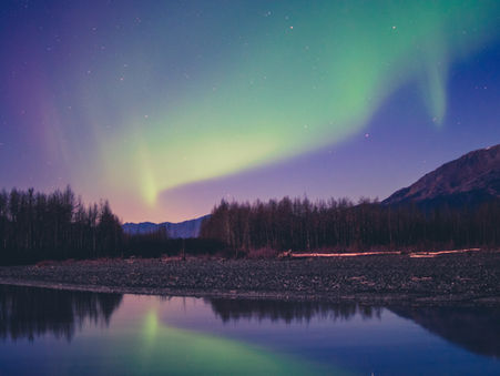 Why You Should Book an Alaskan Cruise Adventure