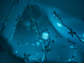 Sentinel Proprietary Technology