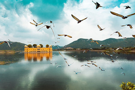 Image by Aditya Siva