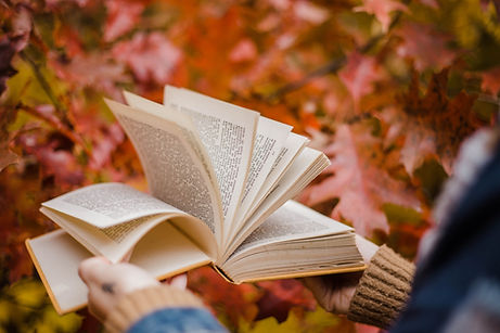 book pages opened