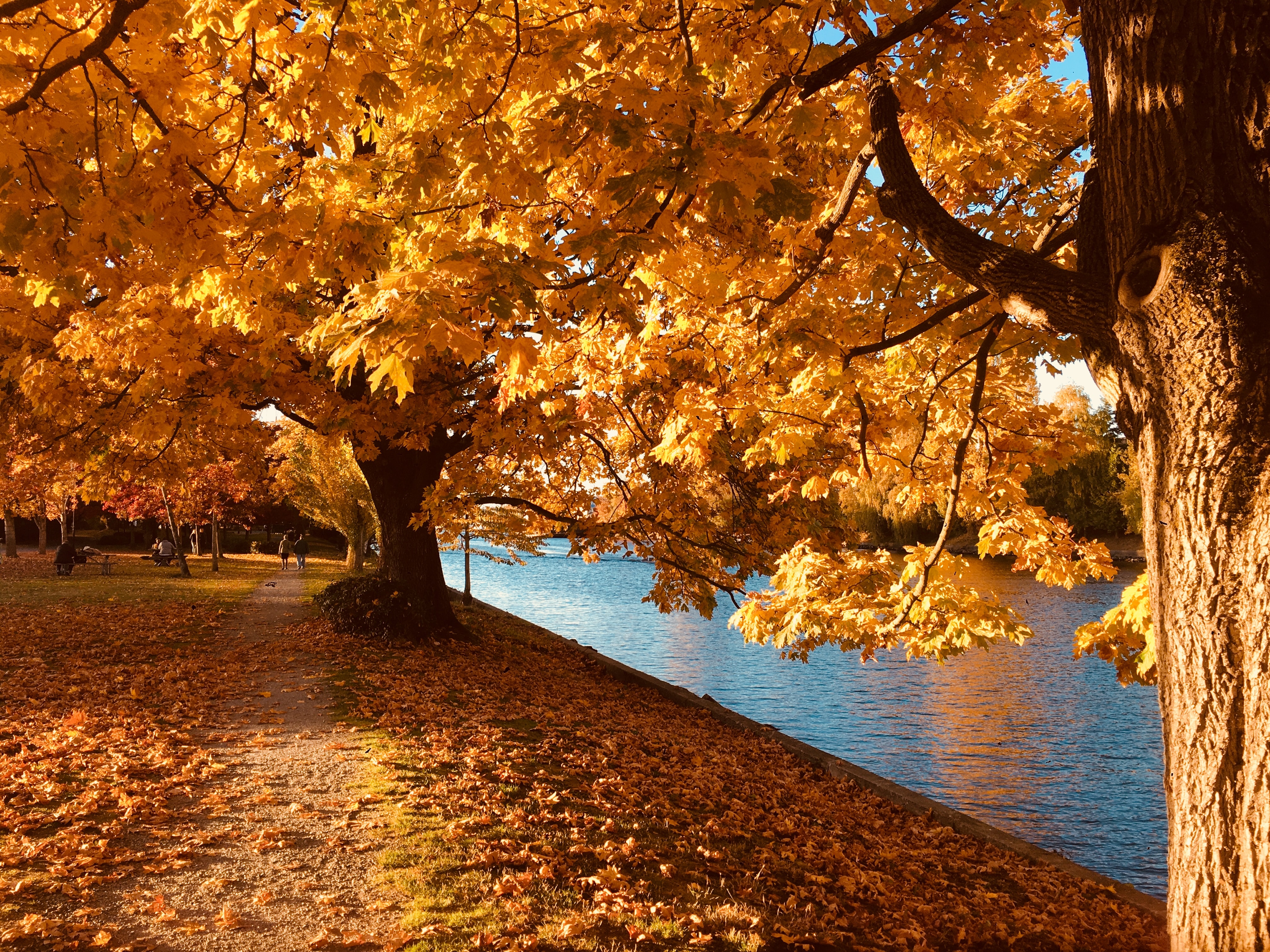 Activités d'automne à Istres : que faire en cette saison ?