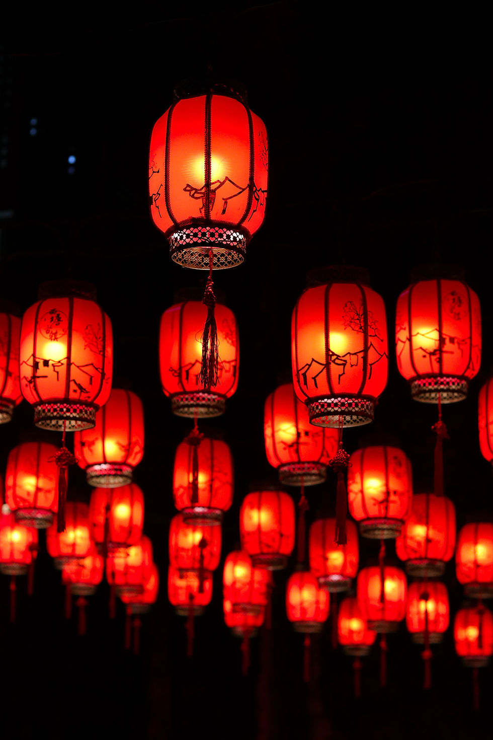 Image by ELSIE ZHONG
