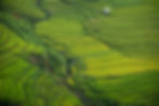 Image by Doan Tuan
