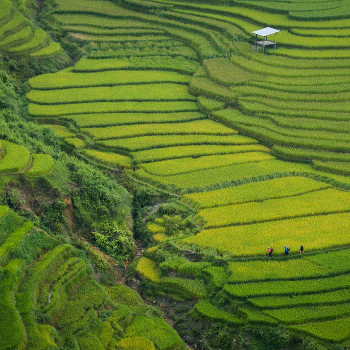 Image by Doan Tuan