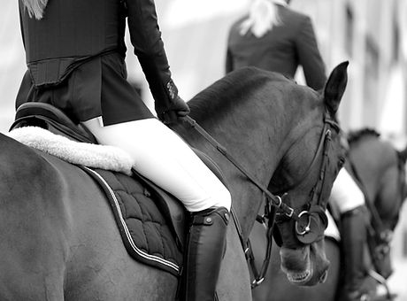 Image by Louise Pilgaard