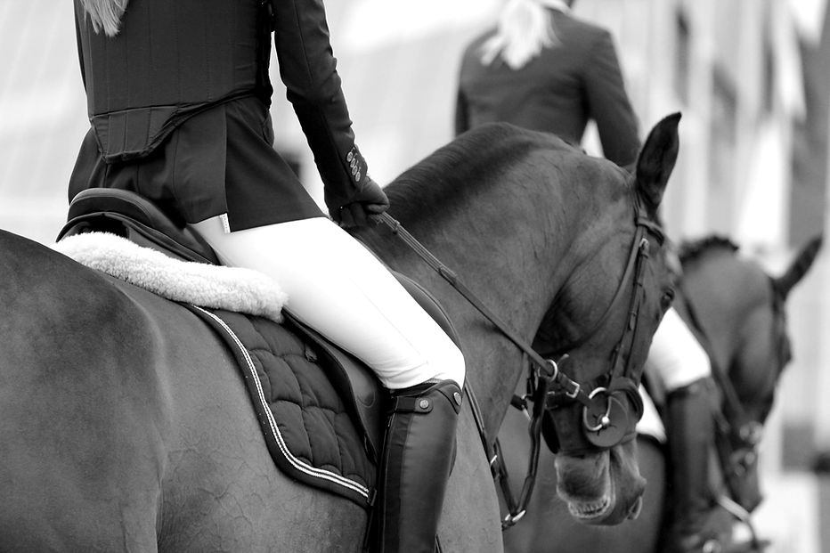 Image by Louise Pilgaard