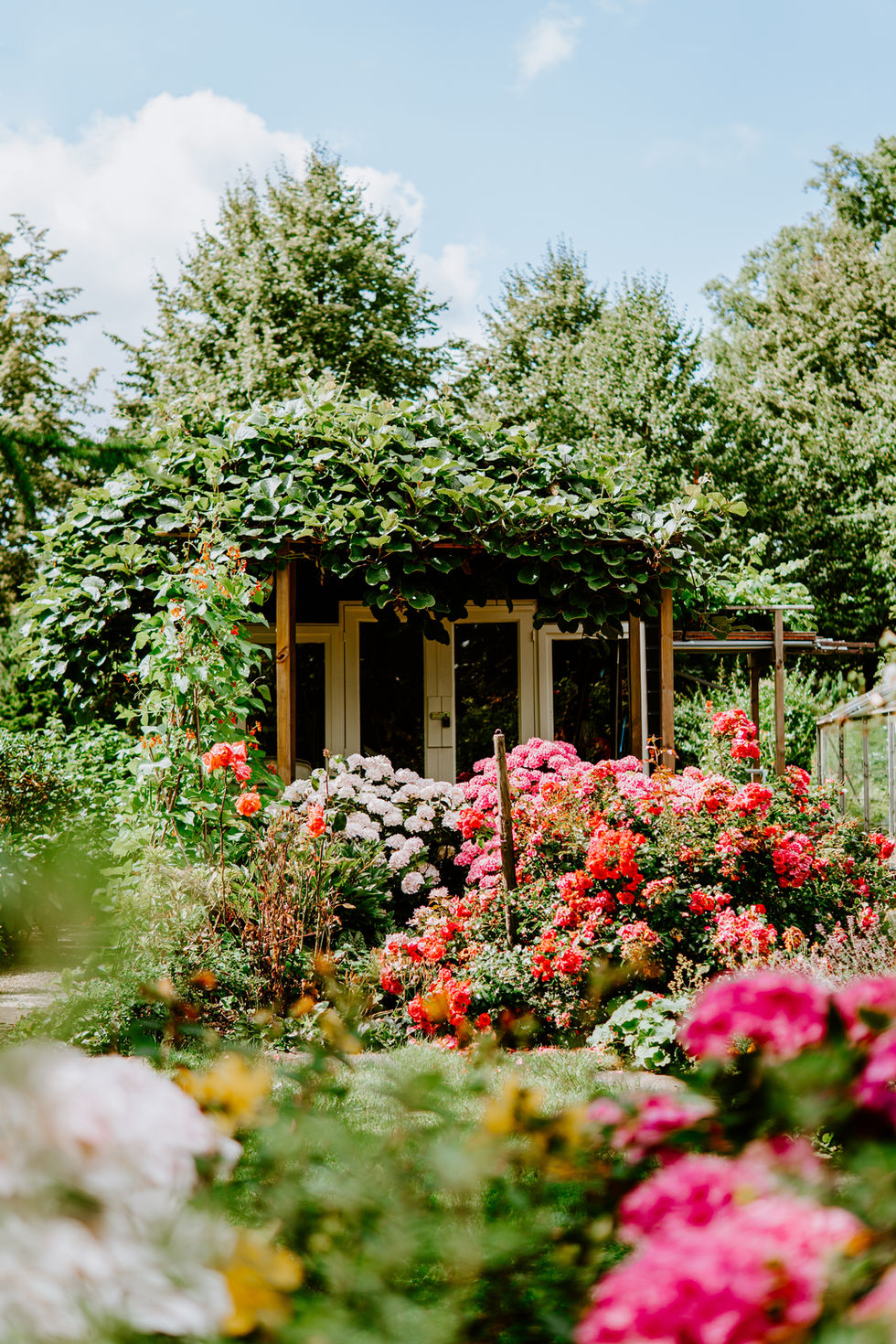 Creating Unique Landscape Designs