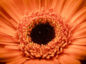 Your Sacral Chakra Is The Key To Unlocking The Power Of Your Feminine Energy