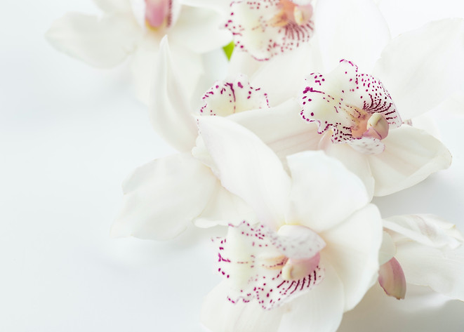 Image by Joanna Kosinska