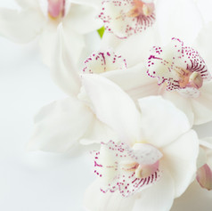 Image by Joanna Kosinska