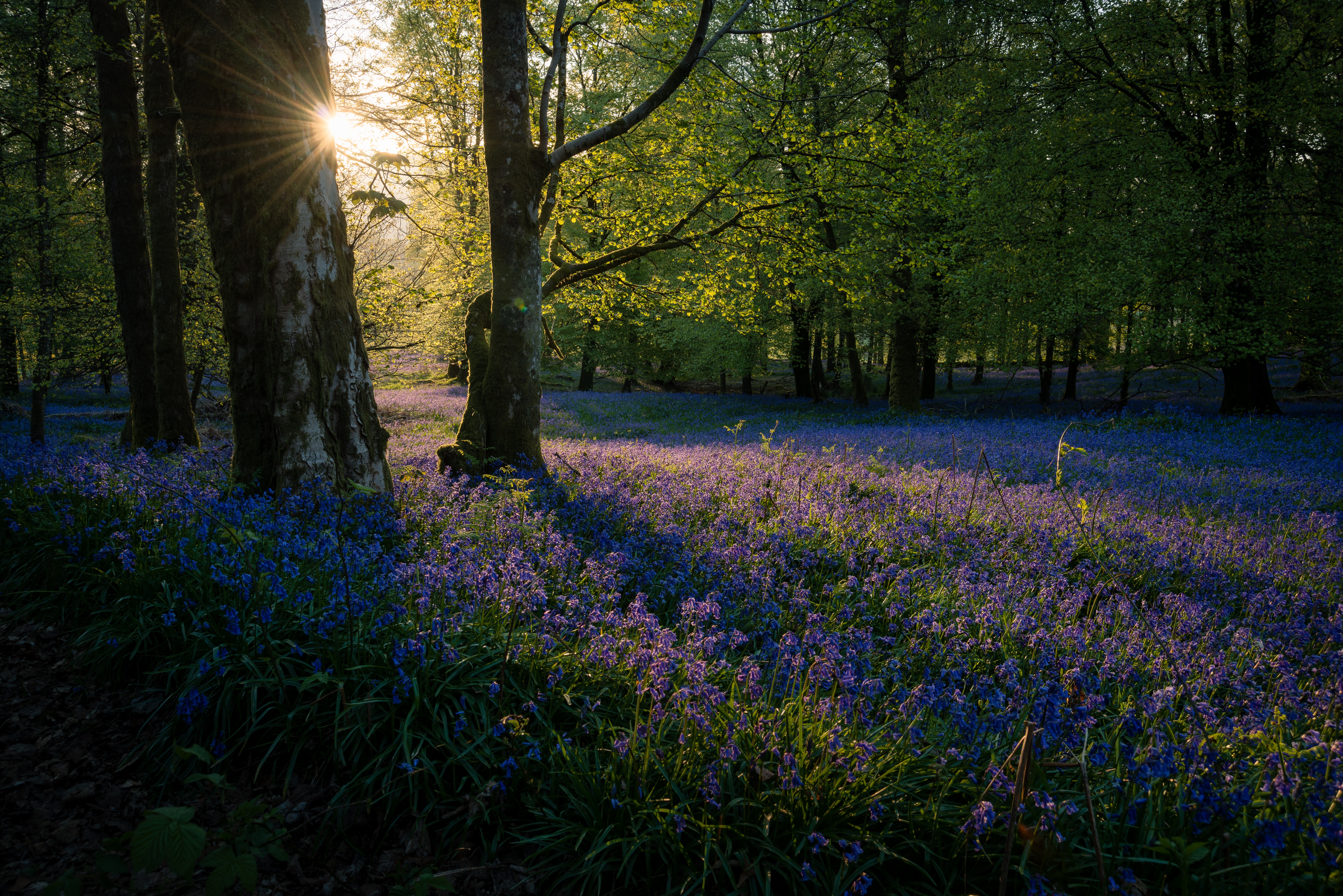 Image by Click and Learn Photography