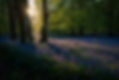 Image by Click and Learn Photography
