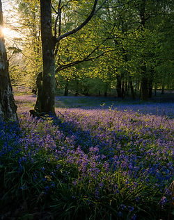 Image de Click and Learn Photography