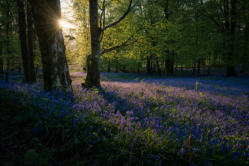 Image by Click and Learn Photography