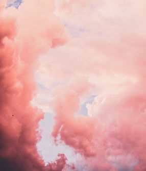 Image by Andrea Ferrario