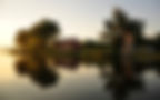 Image by Cosmin Gurau
