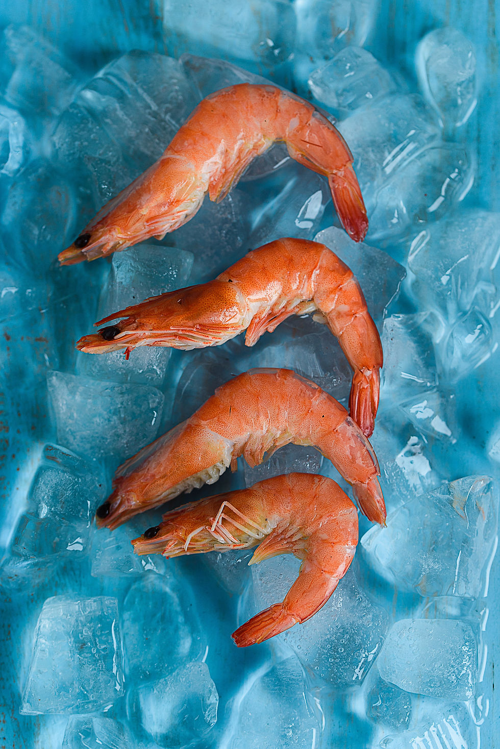 FROZEN SEAFOOD