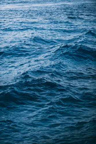 Image by Ahmed Nishaath