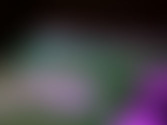 O fim do “dar um Google”? Estudo revela como os chatbots de IA estão transformando o SEO