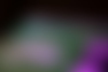 Thriving in an AI‑Driven Era: How Agencies Adapt, Integrate and Prove Their Value