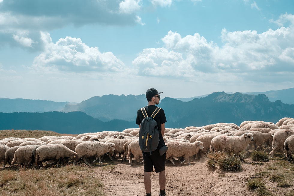 It's ok to be the black sheep. Shepards aren't part of the flock, they lead it.