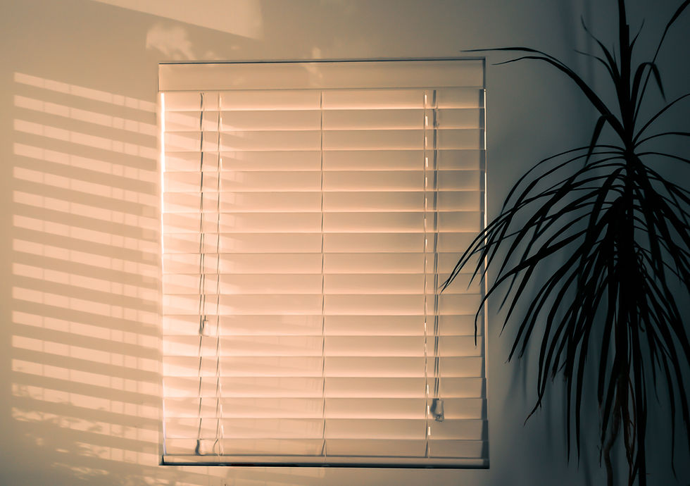 indoor blinds
