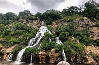 Image by Sebastian Pena Lambarri