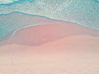 red tide