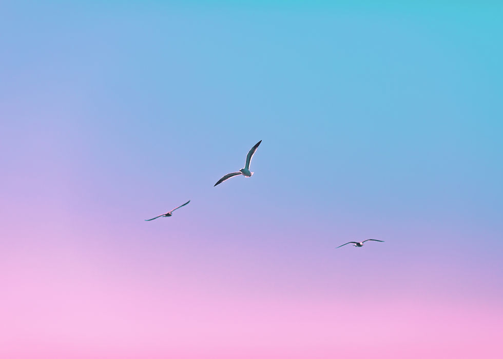 Image by Dave Hoefler