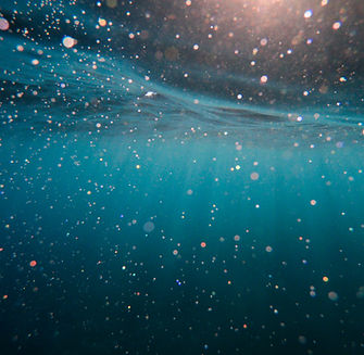 Image by Cristian Palmer