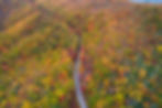 Aerial view of a winding road through a vibrant autumn forest with red, orange, and yellow foliage covering rolling hills.