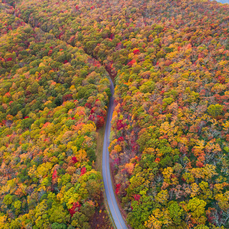 Asheville luxury travel, Asheville gourmet dining, Blue Ridge Mountains wineries, Asheville farm-to-table restaurants