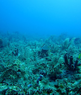 Image by NOAA