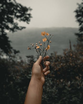 Image by Clay Banks