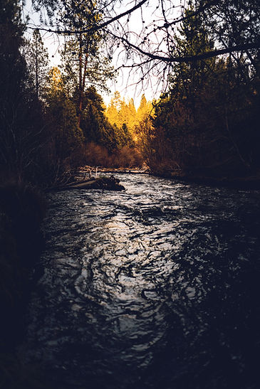Image by Clint McKoy