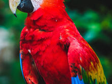 NEWPORT DISCOVERY ZOO