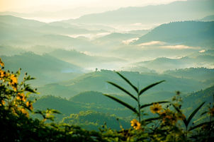 Image by Panuson Norkaew