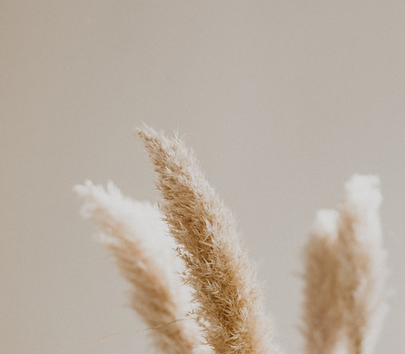 Image by Patrick Langwallner