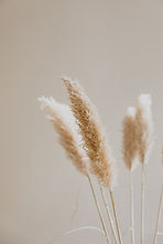 Image by Patrick Langwallner