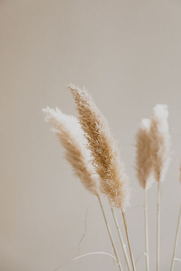 Bandeau Forfaits (crédit photo: Unsplash)