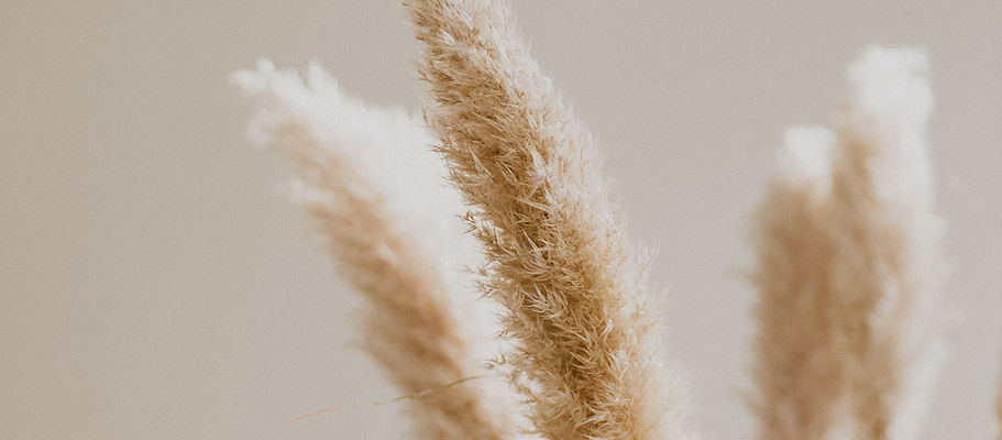 Image de Patrick Langwallner