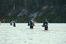 Image by Austin Neill